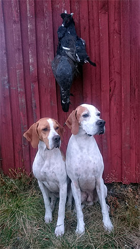 Roxy och Winsent hösten 2018