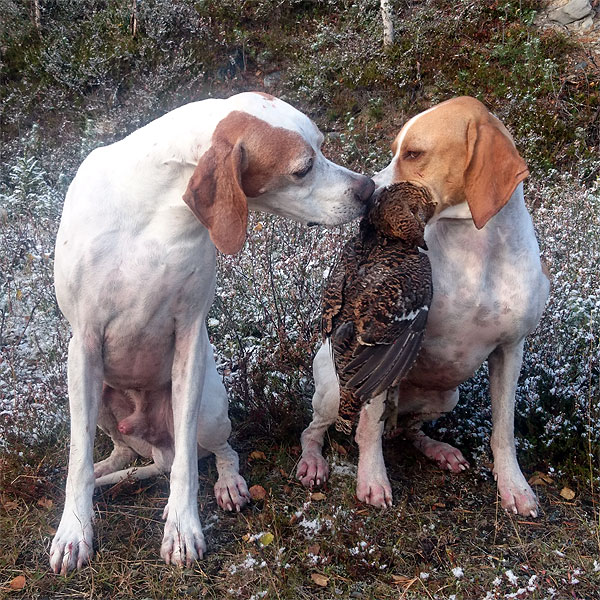 Winsent & Roxy