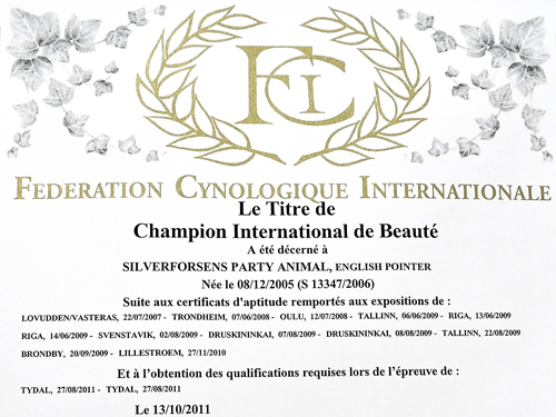 Party's internationella championat - CIB.