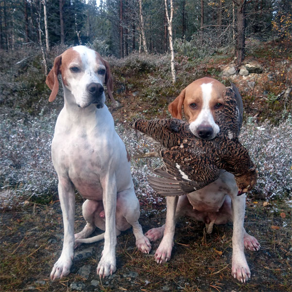 Winsent och Roxy, hösten 2018